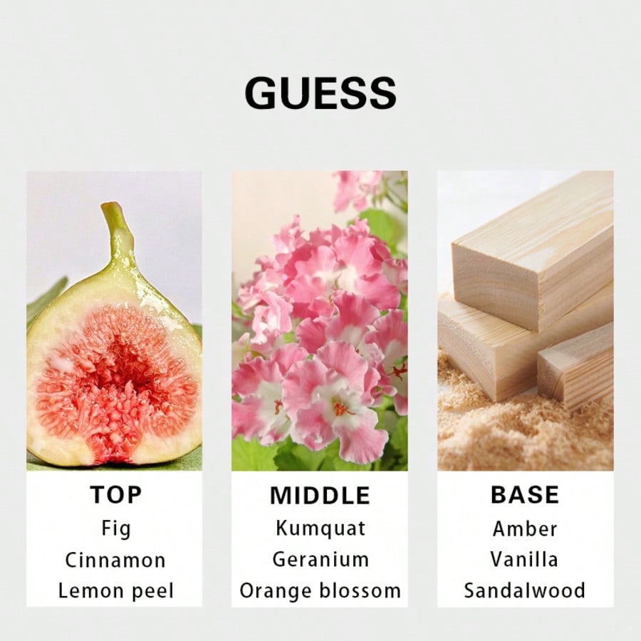Guess Seductive Homme Redmen E - đánh giá và giá You Perfume Fragrance