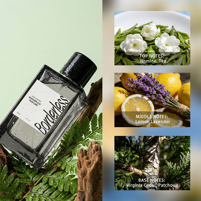 Luxury Borderless Men Perfume  - đánh giá và giá Perfume Luxury Fragrance